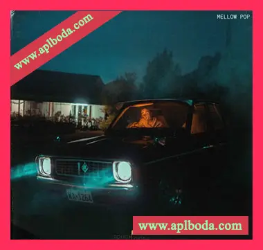 [流行乐采样]Touch Loops Mellow Pop [WAV]（197Mb）
