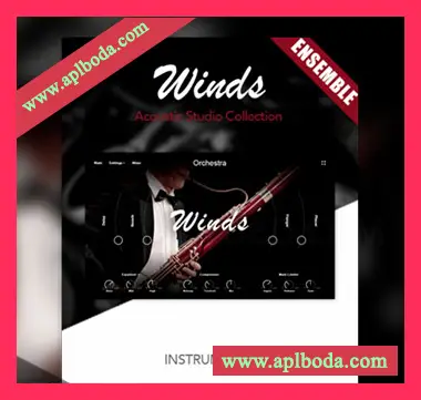 [木管合奏音源]Muze Woodwinds Ensemble [KONTAKT]（6.29Gb）