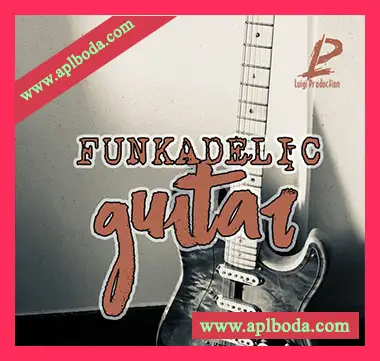[流行放克RnB吉他采样]Luigi Production Funkadelic Guitar [WAV]（111Mb）