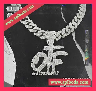 [嘻哈陷阱采样]ChaseVibez OTF Vibez Vol.1 (LoopKit) [WAV]（311Mb）