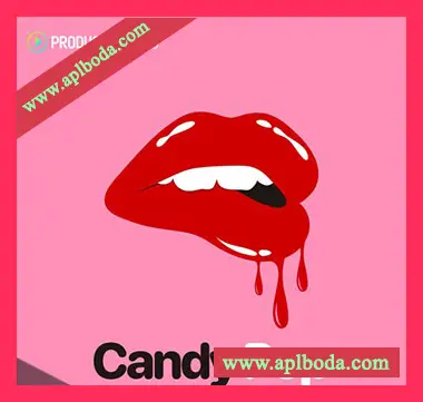 [流行RnB素材]Producer Loops Candy Pop [多格式]（1.46Gb）