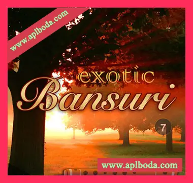 [民族氛围采样]Zion Music Exotic Bansuri Vol.7 [WAV]（152Mb）