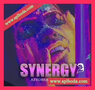 [非洲节奏素材]Dik3l Sounds Synergy Afrobeats 2 [WAV, MiDi]（209.84Mb）