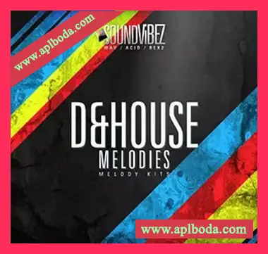 [浩室素材]Sound Vibez D and House Melodies [多格式]（359Mb）