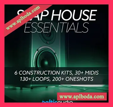 [浩室素材]Baltic Audio Slap House Essentials [WAV, MiDi]（311Mb）