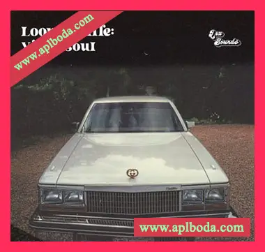 [灵魂RnB采样]LEX Sounds Loop Deville Vinyl Soul [WAV]（195Mb）
