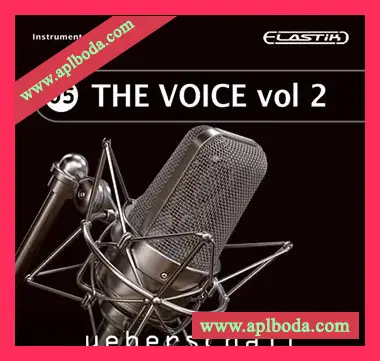 [RnB采样Elastik音色]Ueberschall The Voice Vol.2（1.9Gb）