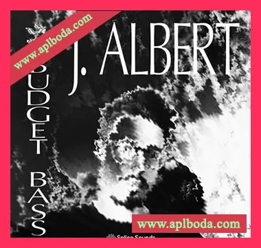 [高科技舞曲采样]Splice Sounds J Albert Budget Bass [WAV]（116Mb）
