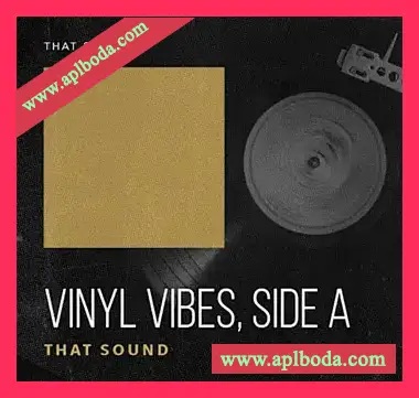 [灵魂嘻哈采样Zebra预置]That Sound Vinyl Vibes – Side A [WAV]（235.94Mb）