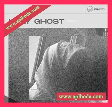[流行RnB采样]nu.wav Holy Ghost Spectral Pop [WAV]（325Mb）