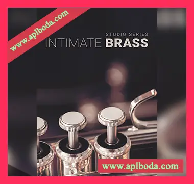 [铜管音源]8Dio Intimate Studio Brass [KONTAKT]（10.91Gb）
