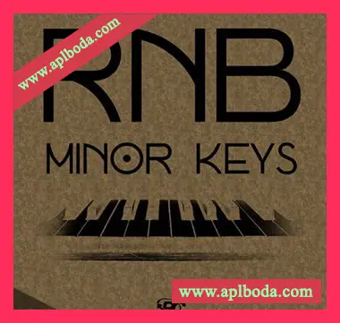 [RnB小调键盘采样]Big Citi Loops RnB Minor Keys [WAV]（45Mb）