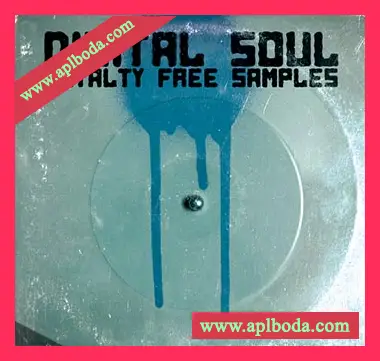 [嘻哈说唱RnB采样]DJ Pain 1 Digital Soul Volume 1 [WAV]（435Mb）