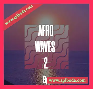 [非洲节奏采样]HOOKSHOW Afro Waves 2 [WAV]（57Mb）