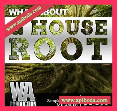 [Housе素材+Sylenth1预置Serum预置+FL工程模板]WA Production G House Root [WAV, MiDi]（560Mb）
