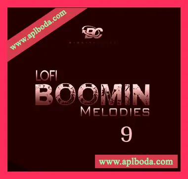 [低保真RnB陷阱采样]Big Citi Loops Lofi Boomin Melodies 9 [WAV]（72Mb）