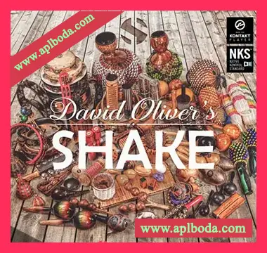 [世界各地95种沙球铃鼓摇铃铃铛打击音源]Soundiron Shake [KONTAKT]（7.43Gb）