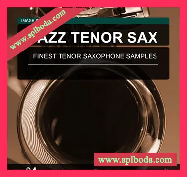 [爵士次中音萨克斯采样]Image Sounds Jazz Tenor Sax 04 [WAV]（11Mb）