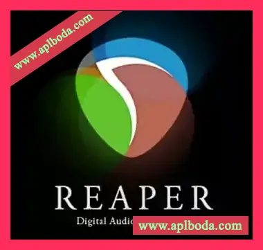 Cockos REAPER v7.42 [WiN]（35Mb）
