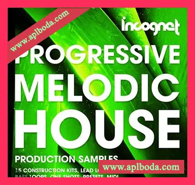[前卫浩室素材][Sylenth1预置Massive预置Serum预置Spire预置]Incognet Progressive and Melodic House [WAV, MiDi]（572Mb）