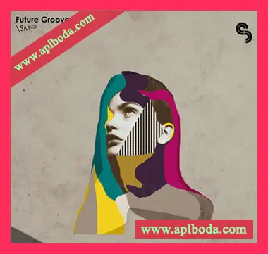 [流行RnB奇幻贝斯采样Serum预置]Sample Magic Future Groove（397Mb）