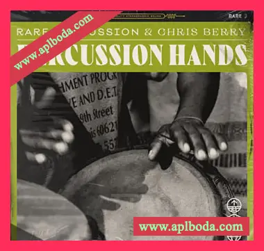 [民族打击乐器采样]RARE Percussion Percussion Hands Vol.1 [WAV]（311Mb）