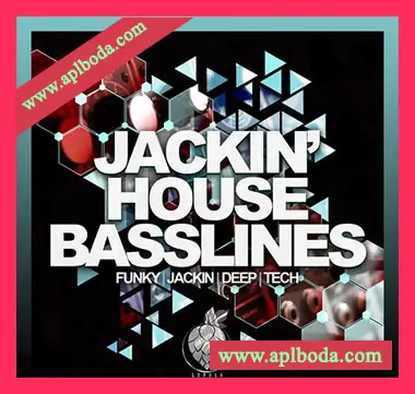 [RnB灵魂浩室Basslines节奏采样]Dirty Music Jackin House Basslines [WAV]（46Mb）
