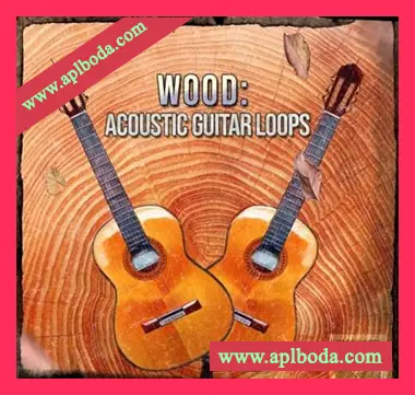 [流行摇滚乡村木吉他采样]Toolbox Samples Wood Acoustic Guitar Loops [WAV]（42Mb）
