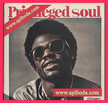 [怀旧放克灵魂RnB采样]Ric Beats Privileged Soul Sample Pack [WAV]（1.05Gb）