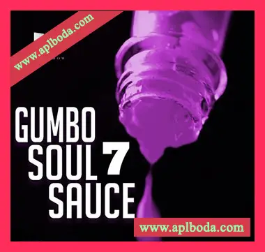 [灵魂福音乐采样]HOOKSHOW Gumbo Soul Sauce 7 [WAV]（97Mb）