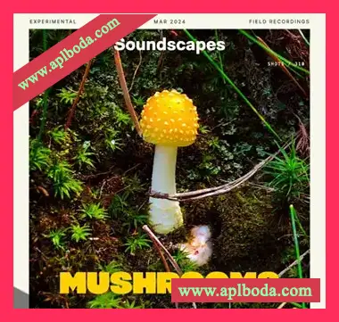 [氛围电子采样]Splice Soundscapes Mushrooms [WAV]（387Mb）