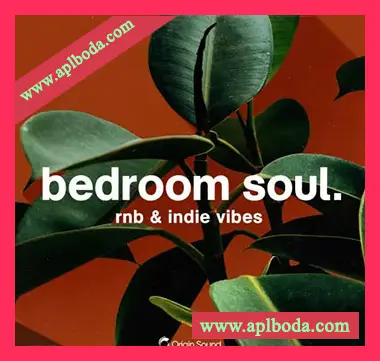 [灵魂RnB采样]Origin Sound bedroom soul [WAV]（379Mb）