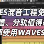 [Waves混音工程] Cubase混音后期制作工程 使用Waves插件混完一首歌曲（332.21MB）