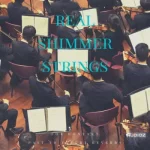 真实弦乐 PastToFutureReverbs Real Shimmer Strings For Kontakt! KONTAKT