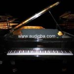 钢琴音色Imperfect Samples  Fazioli Ebony Concert Grand (Extreme) (EXS24 / Kontakt) 160G