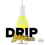 DiyMusicBiz Drip Loops Vol 13 WAV