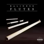 竹笛合奏音色 Soniccouture Balinese Flutes v1.0.1 KONTAKT