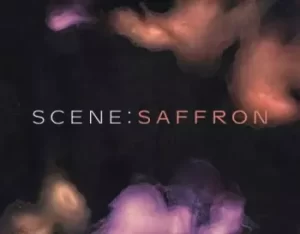 电影配乐乐器 Native Instruments Scene Saffron v1.1.0 KONTAKT