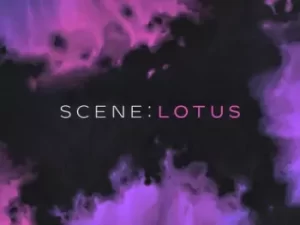 调色乐器 Native Instruments Scene Lotus v1.0.1 KONTAKT