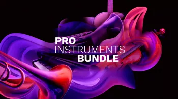[Steinberg Pro 乐器套装]Steinberg Pro Instruments Bundle（37.62GB）