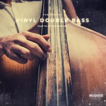 低音大提琴 PastToFutureReverbs Vinyl Double Bass For Kontakt! KONTAKT