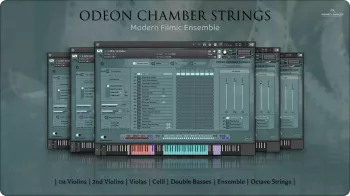 室内弦乐合奏库 Insanity Samples Odeon Chamber Strings v1.0.2 KONTAKT