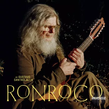 喷火拉丁民谣音色 Spitfire Audio Ronroco by Gustavo Santaolalla KONTAKT