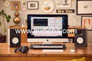 专业制谱软件 Steinberg Dorico Pro 6 6.0.10 WiN MAC