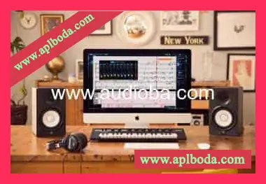 Professional music notation software Steinberg Dorico Pro 6 6.0.10 Win MAC