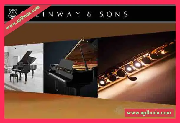 混合乐器音源合集完整版 NEST Acoustics Morphology KONTAKT