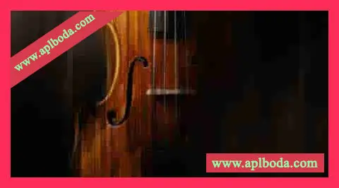 小提琴音源 康泰克 Native Instruments Stradivari Violin v2.0.0 [KONTAKT]