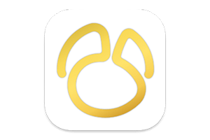 Navicat Premium v17.2.5 for Mac(数据库管理工具)中文版