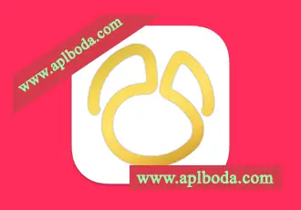 Navicat Premium v17.2.5 for Mac(数据库管理工具)中文版