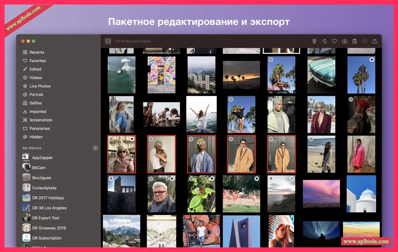 1694926053-1c11026d8f50f3b